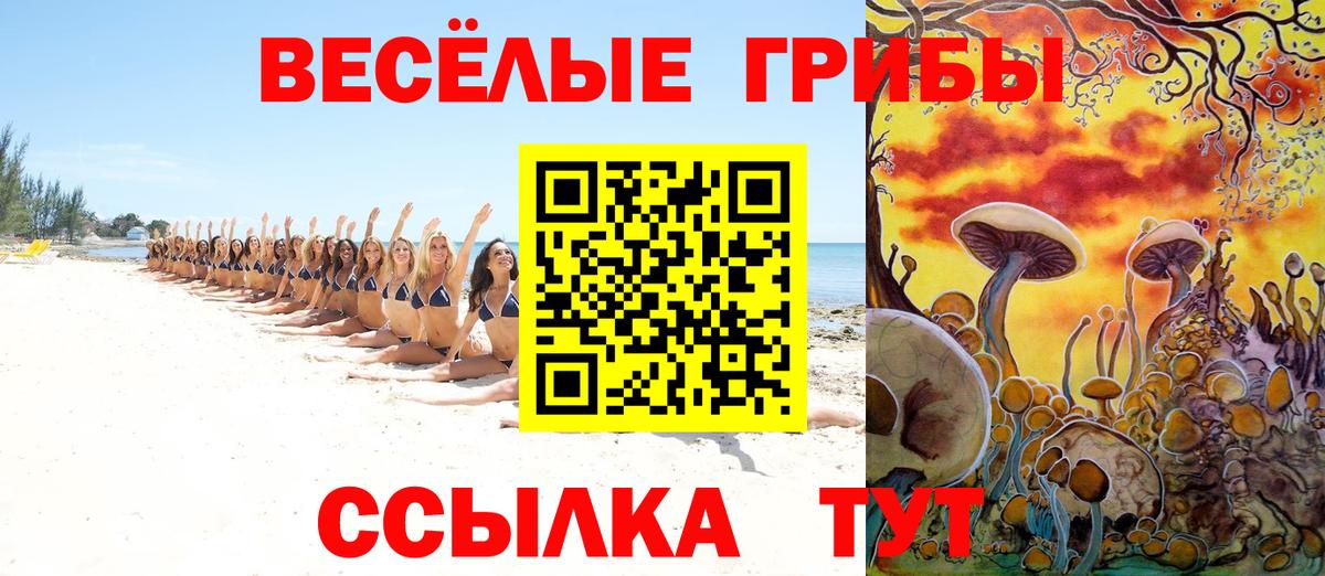 Тамбов  Галлюциногенные грибы Cubensis  Вход с VPN  Псилоцибиновые грибы GOLDEN TEACHER 